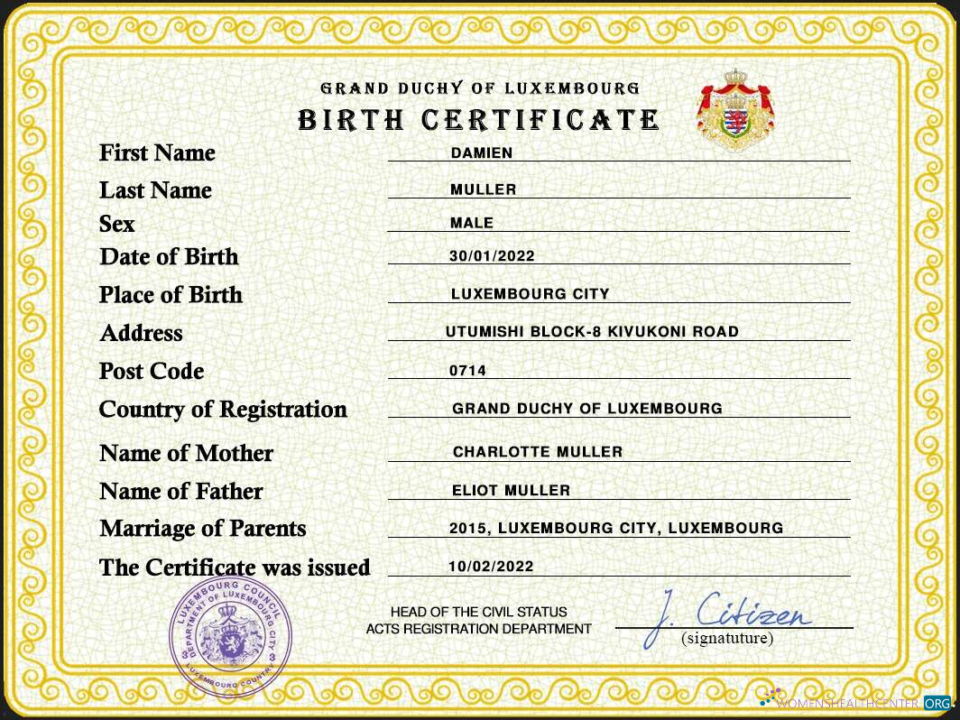 Download Luxembourg vital record birth certificate PSD template Photoshop template